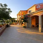 Nikaia * فير