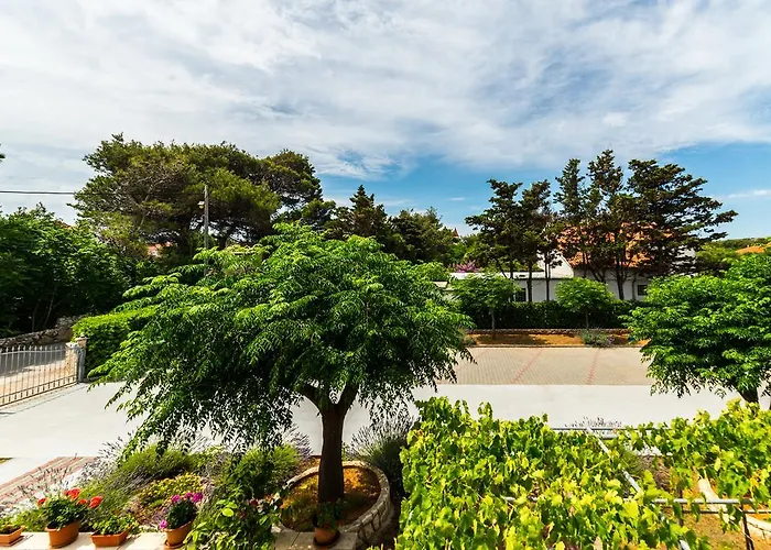 Apartman Nikaia Vir